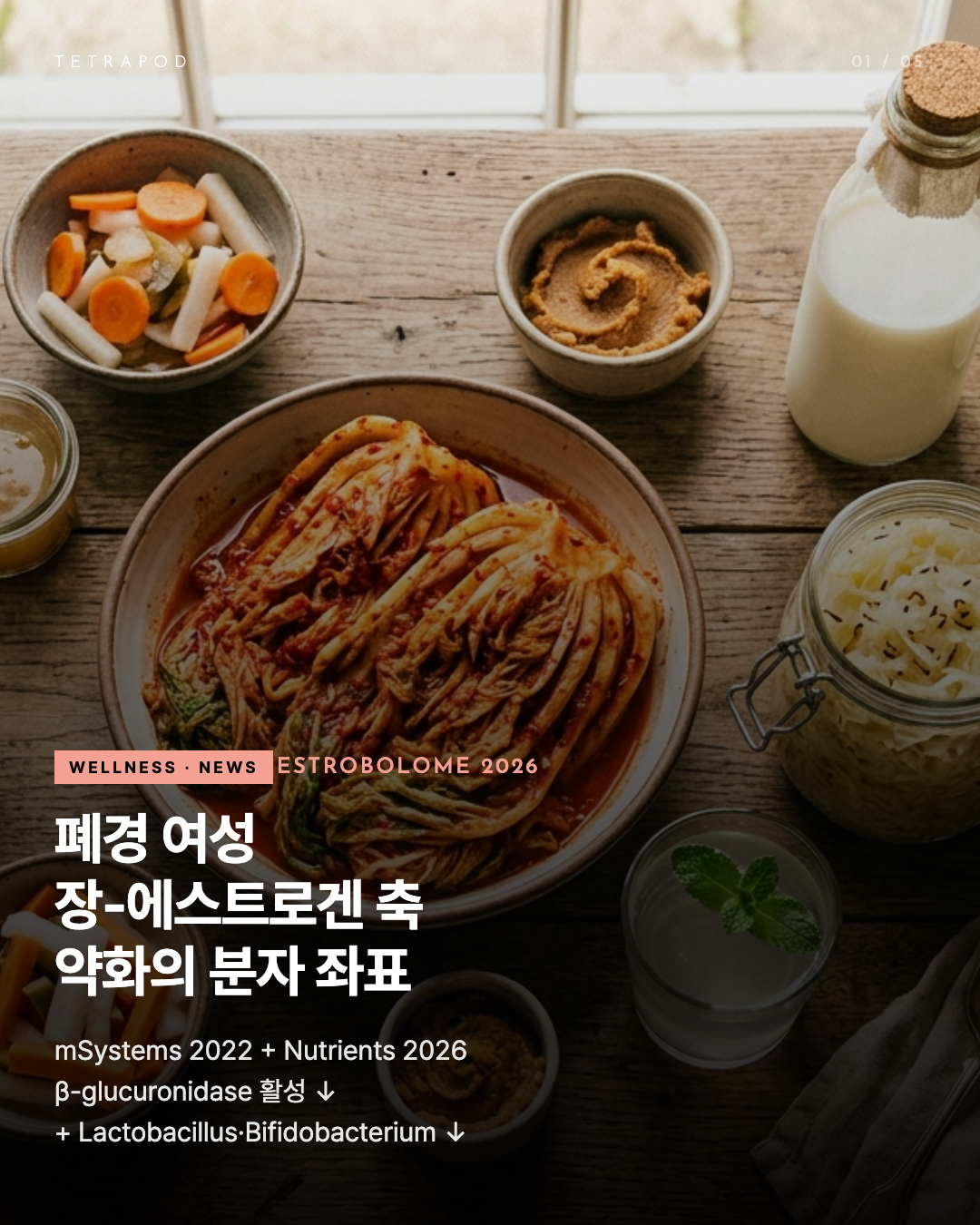 Estrobolome 약화가 폐경 여성의 심대사 위험을 결정한다 — 5장 정리
