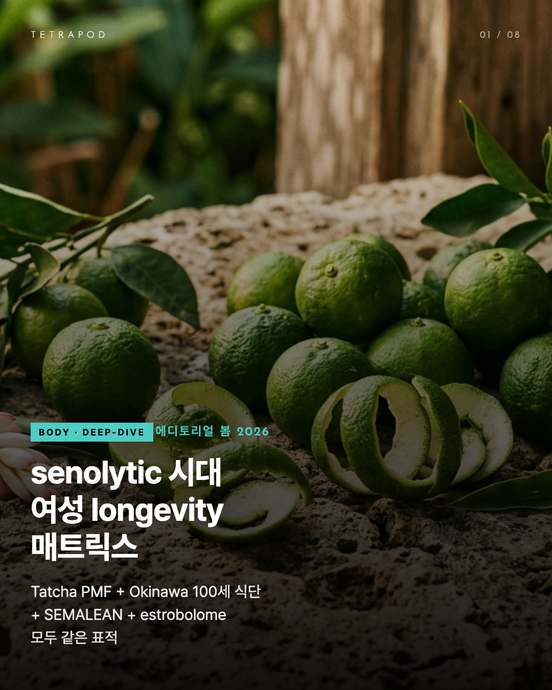 Senolytic 시대 여성 longevity 매트릭스 — 4범주 senolytic을 8장에 정리