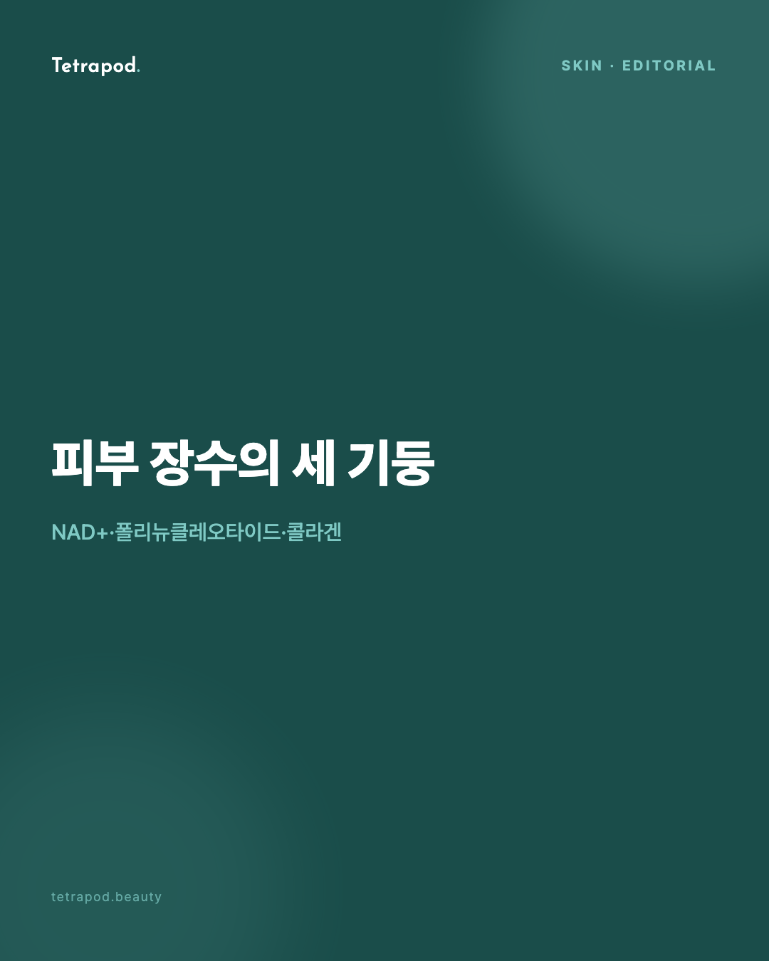 피부 장수의 세 기둥