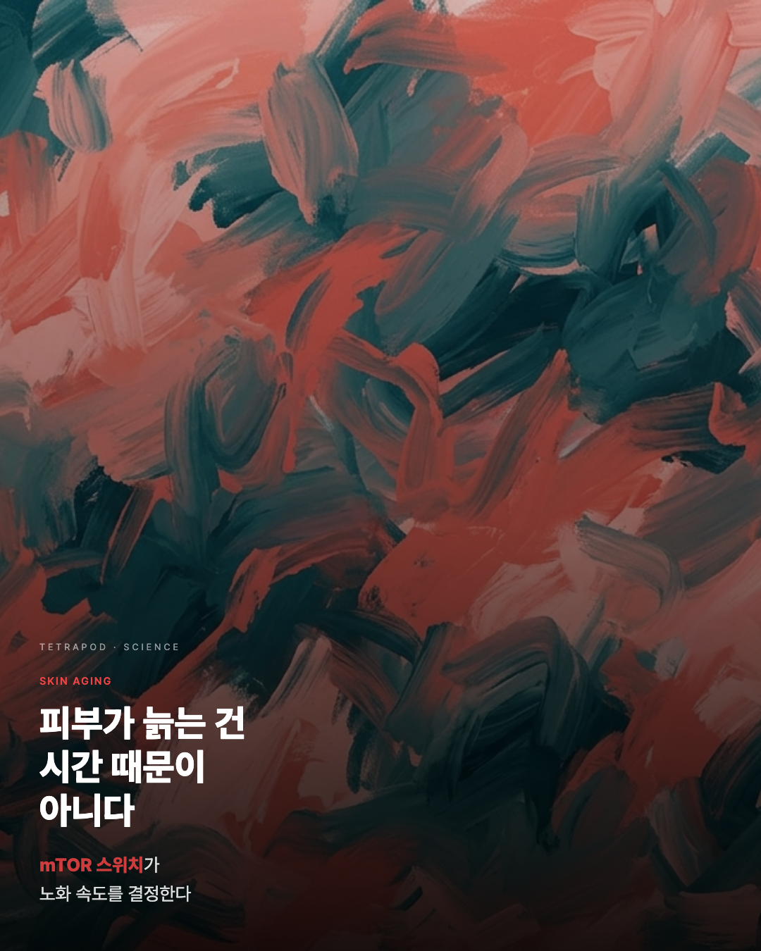 mTOR 스위치가 피부 노화 속도를 결정한다