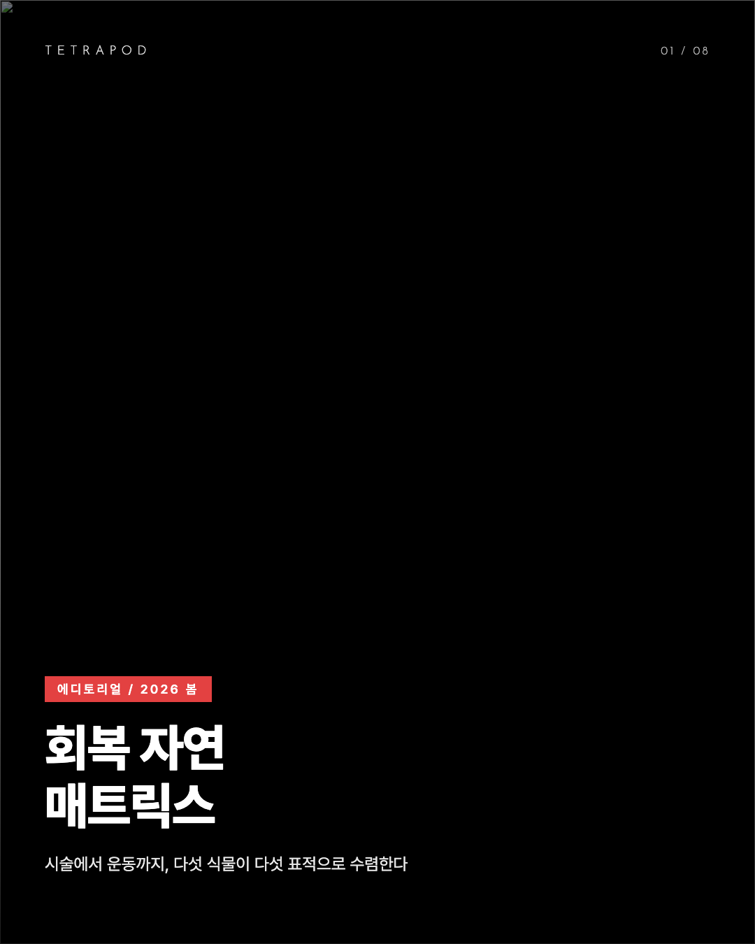 회복 자연 매트릭스 봄 2026, 시술에서 운동까지 다섯 표적 8장