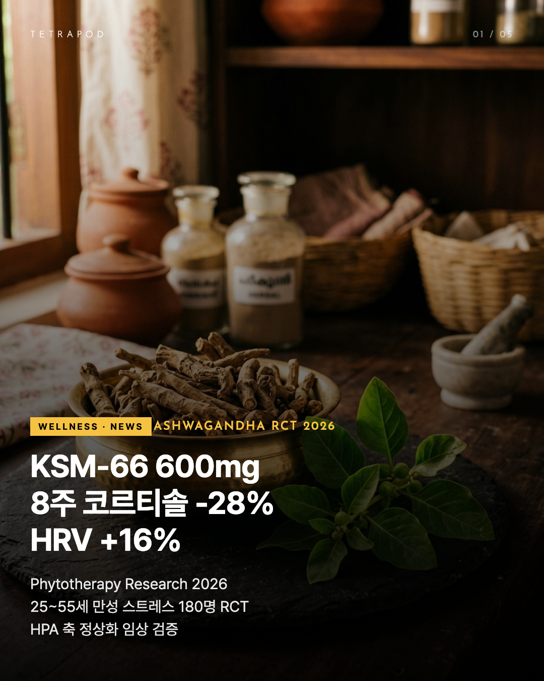 Ashwagandha KSM-66 600mg — 8주 코르티솔 -28% HRV +16%