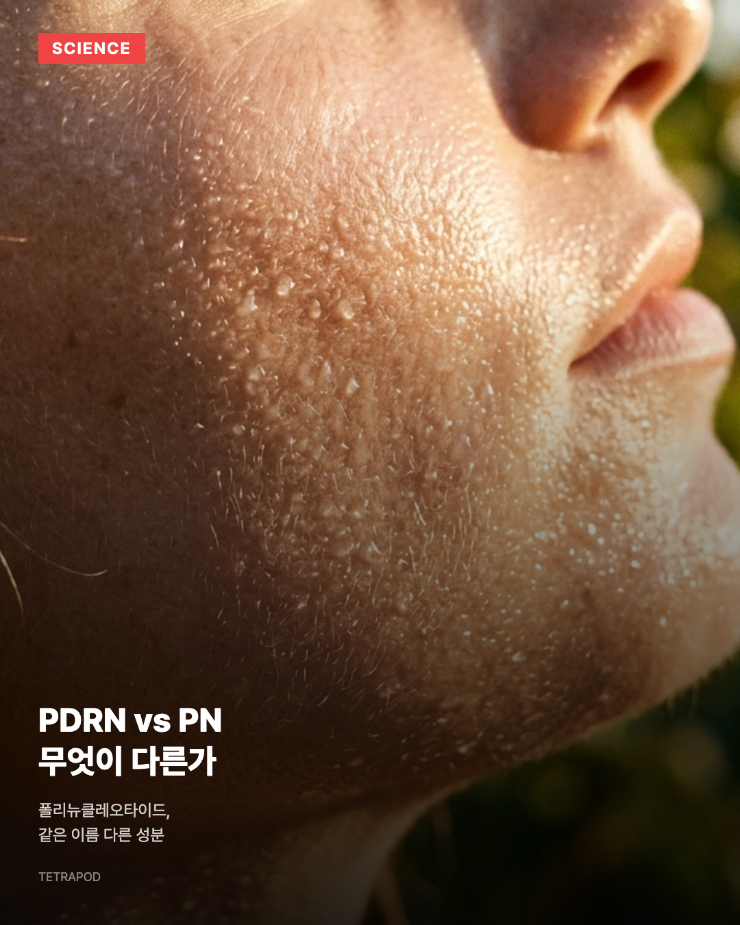 PDRN vs PN, 무엇이 다른가
