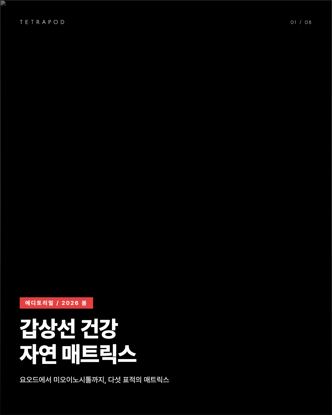 갑상선 건강 매트릭스 봄 2026, 요오드에서 미오이노시톨까지 다섯 분자 8장