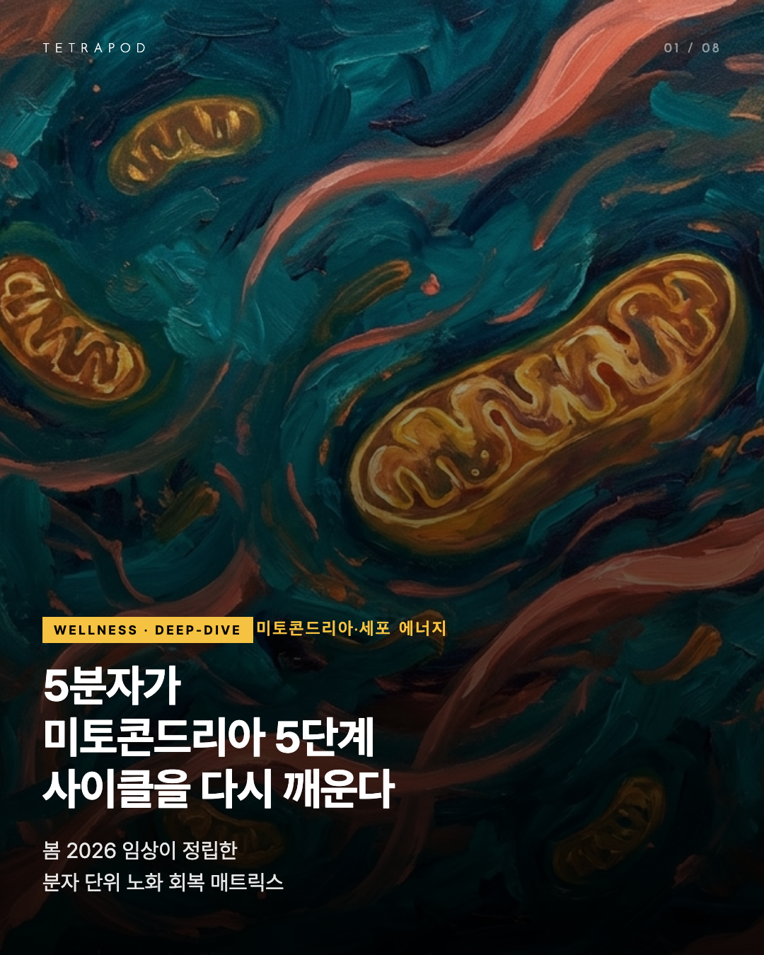 미토콘드리아·세포 에너지 자연 매트릭스 — 5분자가 5단계 사이클을 다시 깨운다