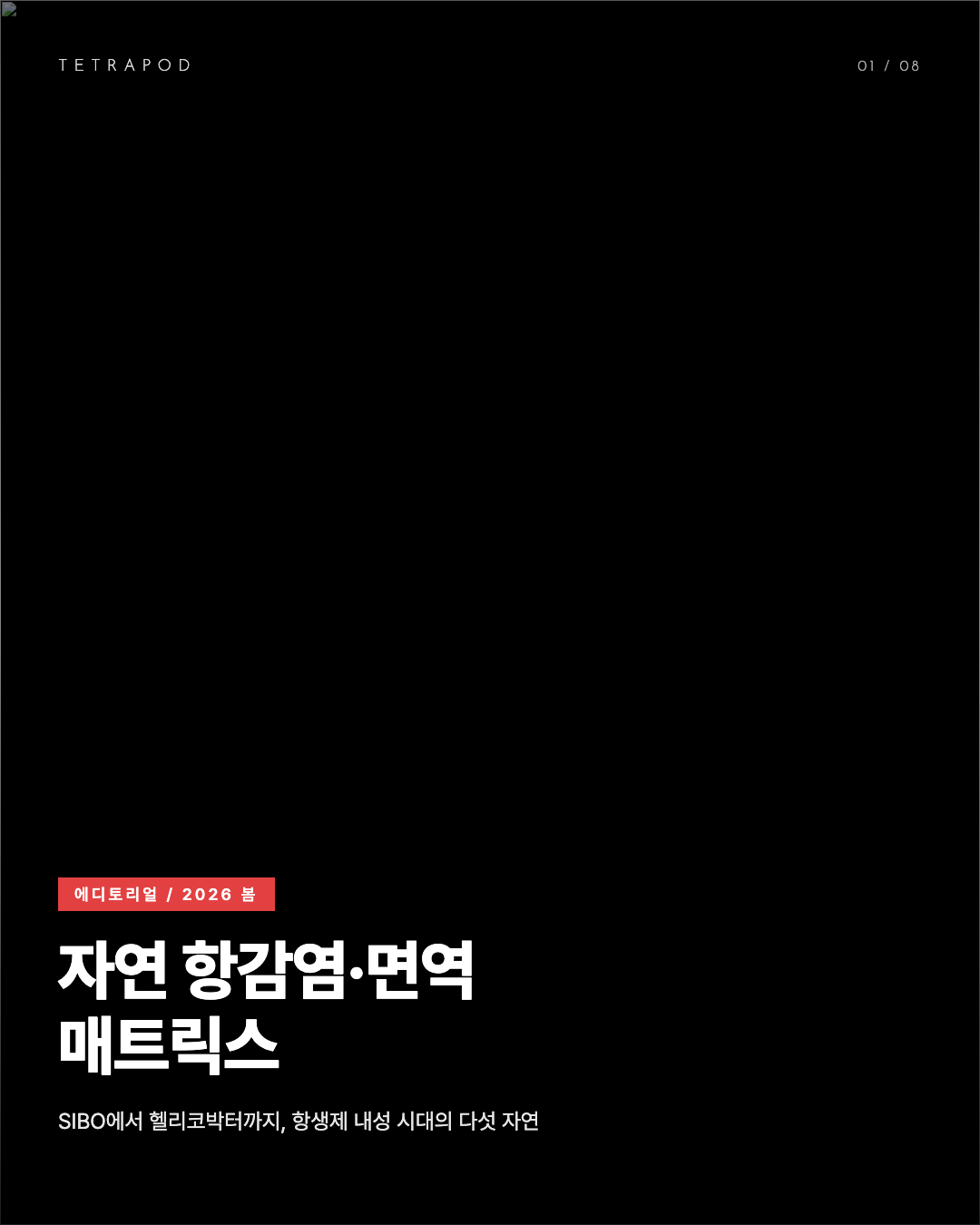 자연 항감염·면역 매트릭스 봄 2026, SIBO에서 헬리코박터까지 다섯 식물 8장