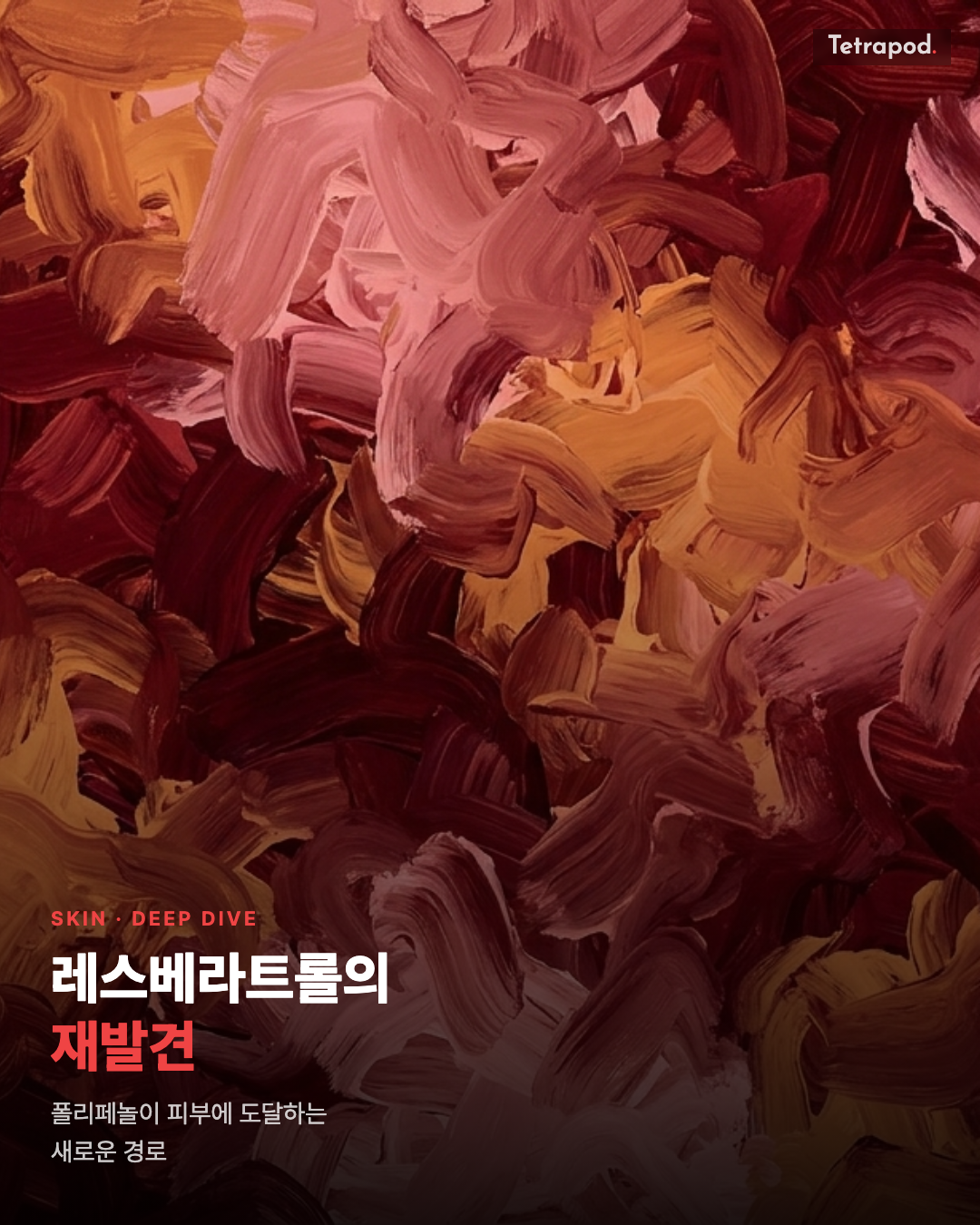 레스베라트롤 RCT 결과, 폴리페놀이 피부에 도달하는 새로운 경로