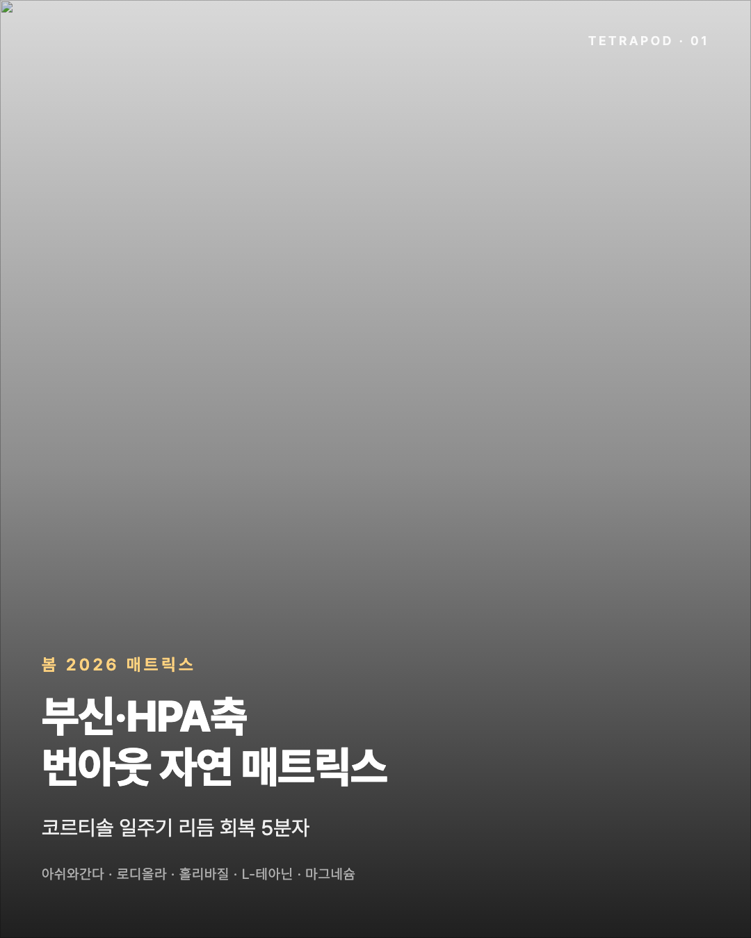부신·HPA축·번아웃 자연 매트릭스, 봄 2026 — 5분자 신경내분비 회복 8장