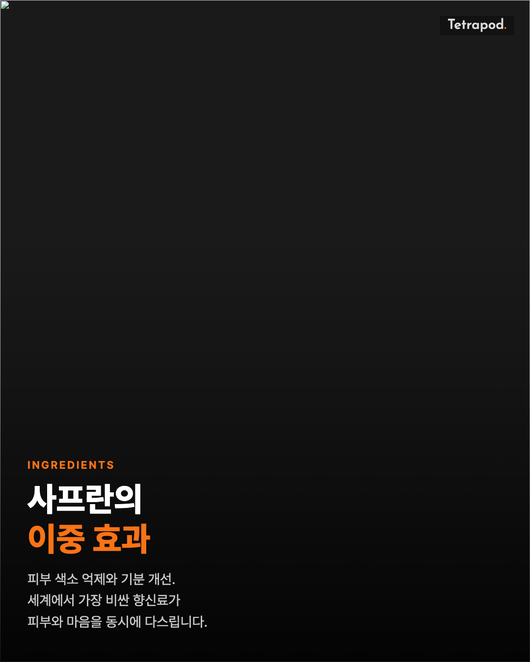 사프란의 이중 효과