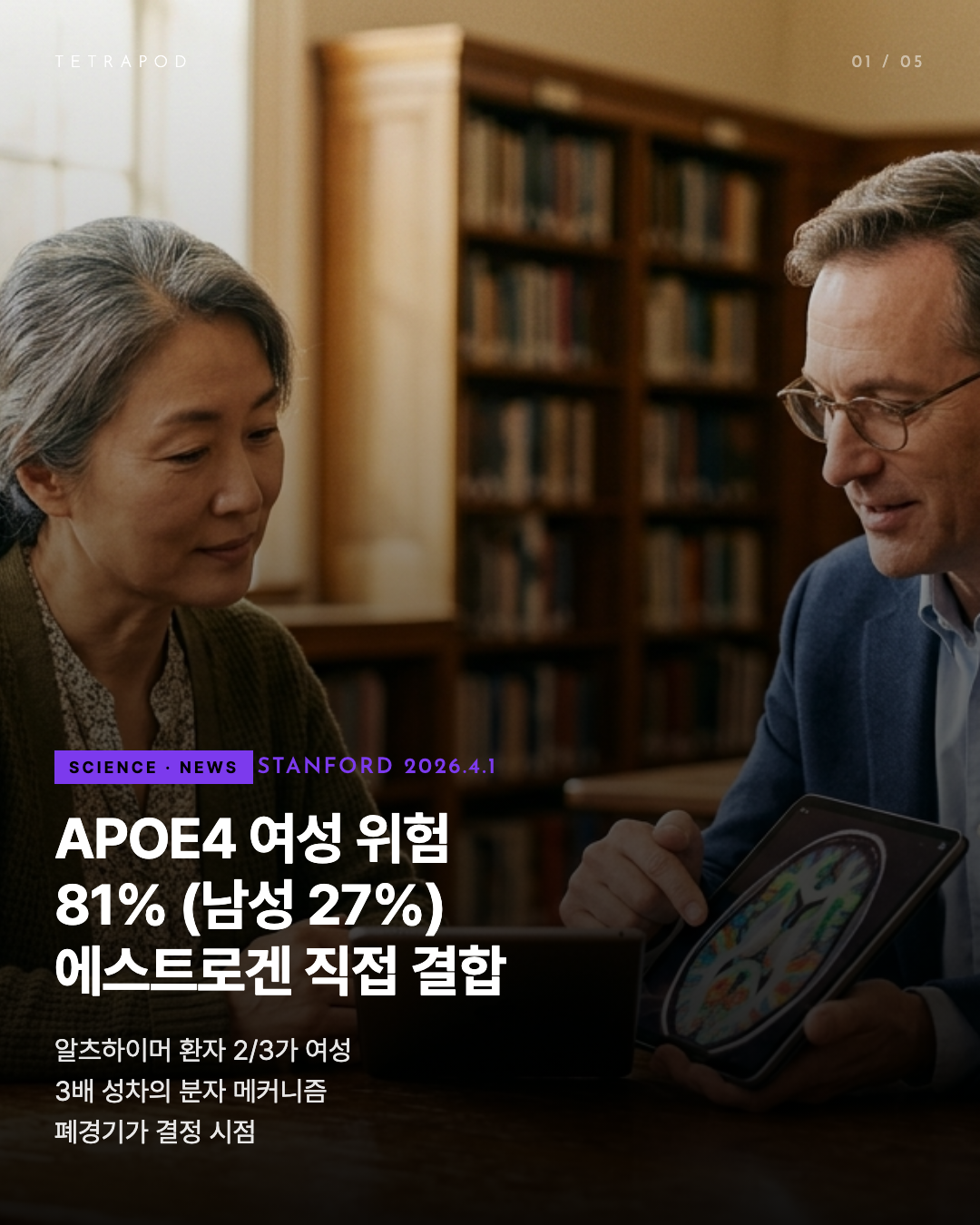 Stanford APOE4 — 여성 알츠하이머 위험 81% (남성 27%). 에스트로겐·APOE 회로