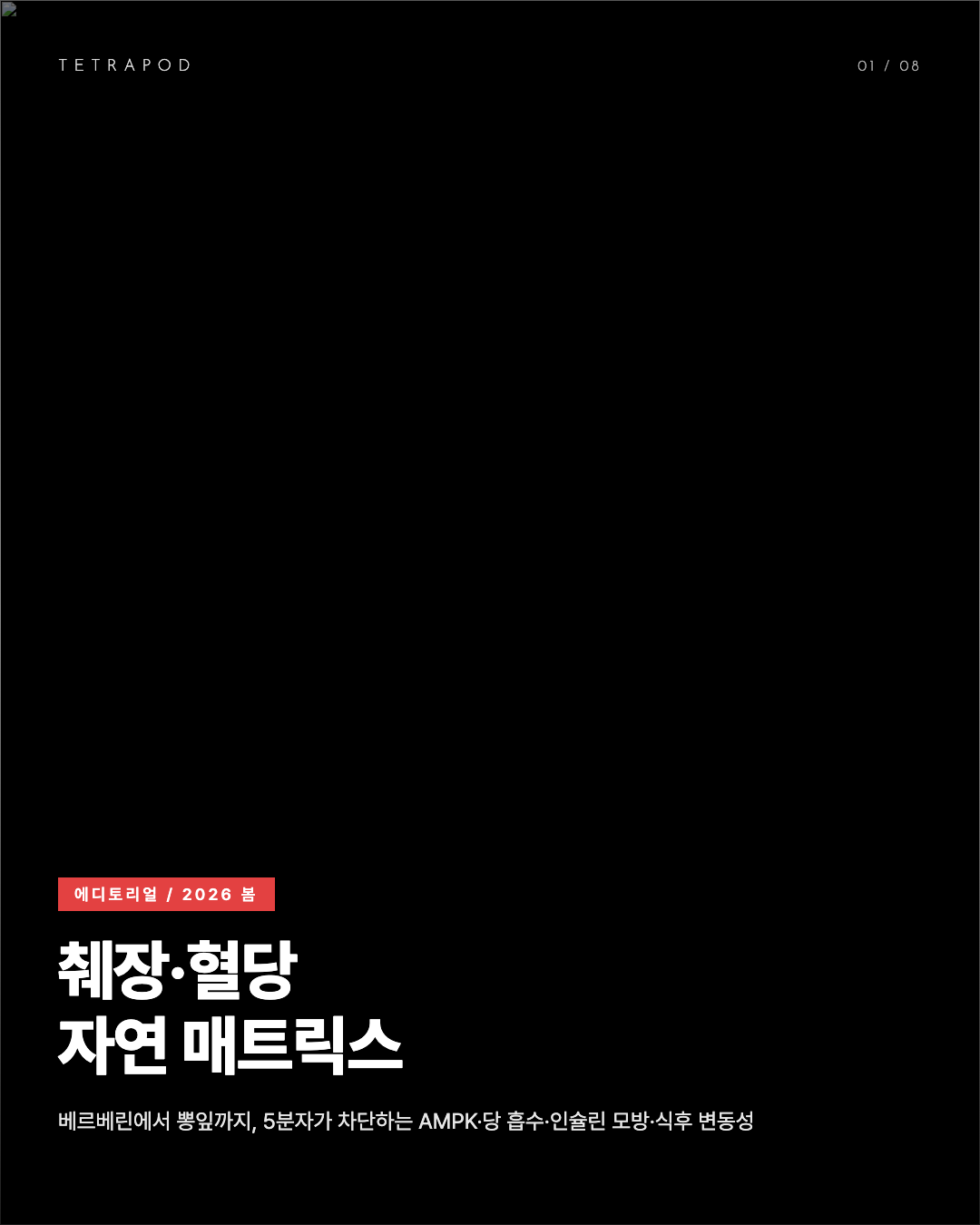 췌장·혈당 자연 매트릭스, 봄 2026 — 베르베린·짐네마·실론계피·크롬·뽕잎 8장