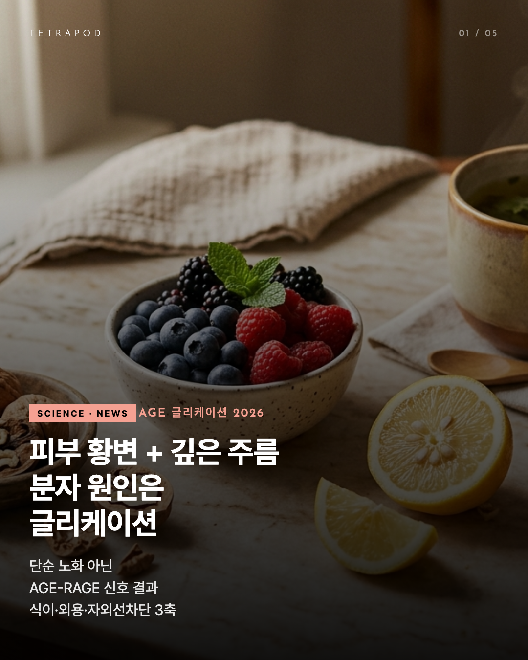 AGE 글리케이션이 만드는 피부 황변·주름·탄력 손실 — 5장 정리