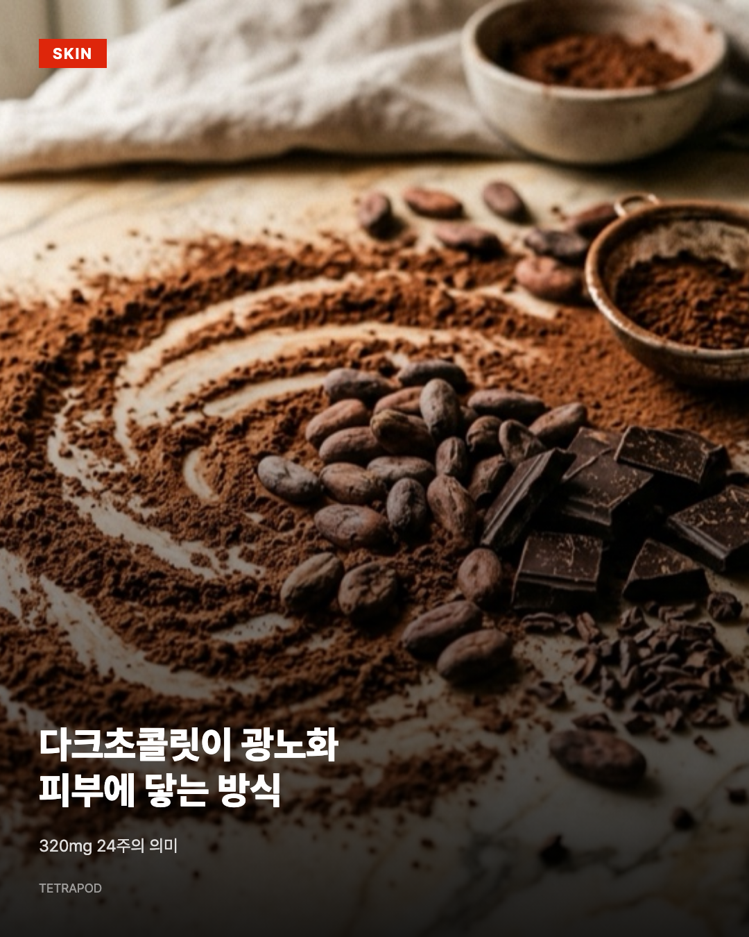 다크초콜릿이 광노화 피부에 닿는 방식, 320mg 24주