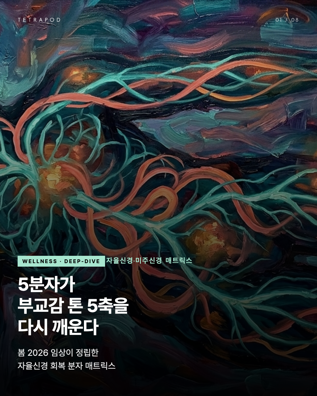 자율신경·미주신경 자연 매트릭스 — 5분자가 부교감 톤 5축을 다시 깨운다