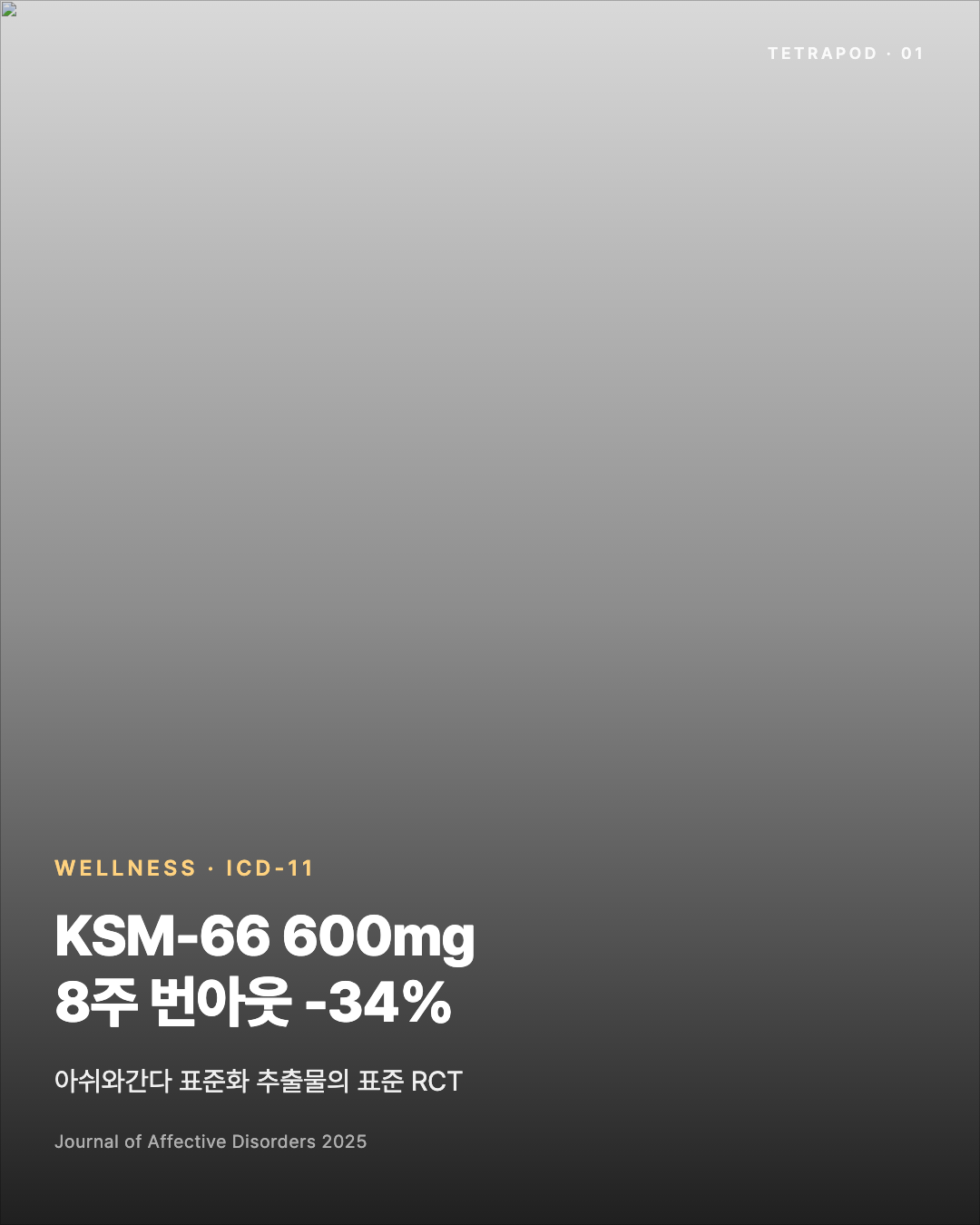 아쉬와간다 KSM-66 600mg, 8주 만에 번아웃 -34% — ICD-11 등재 후 첫 RCT 5장