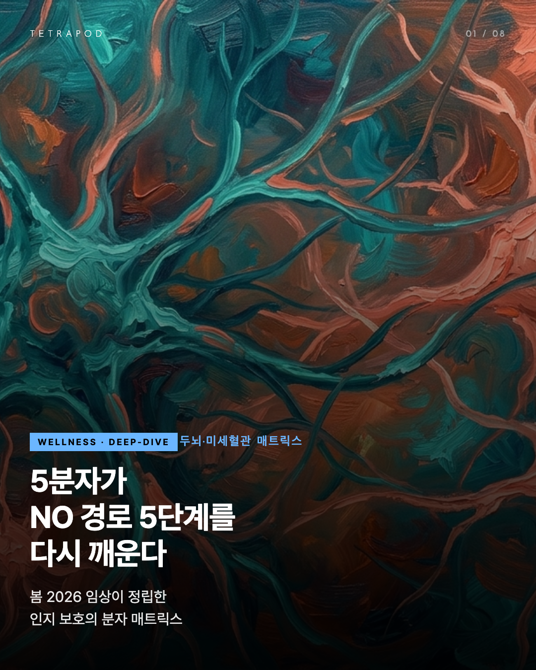 두뇌·미세혈관 자연 매트릭스 — 5분자가 NO 경로의 5단계를 다시 깨운다