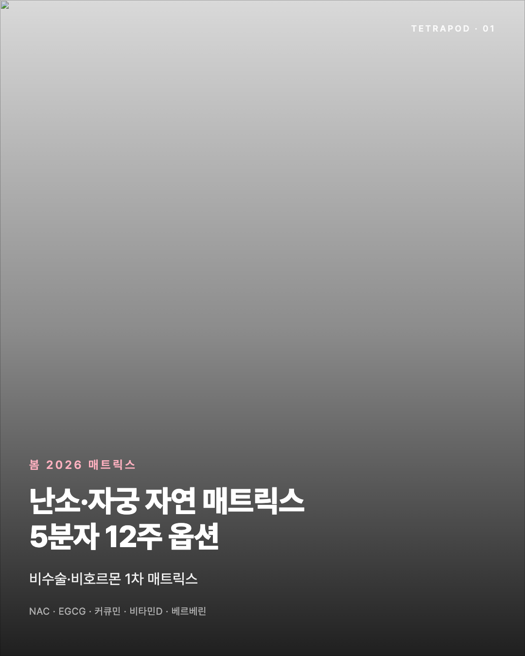 난소·자궁 자연 매트릭스, 봄 2026 — NAC·EGCG·커큐민·비타민D·베르베린 5분자 8장
