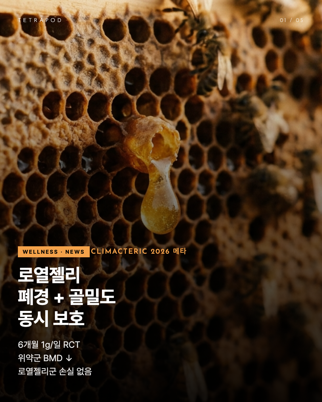 로열젤리 폐경 매트릭스, 10-HDA가 만드는 비호르몬 다리 — 5장