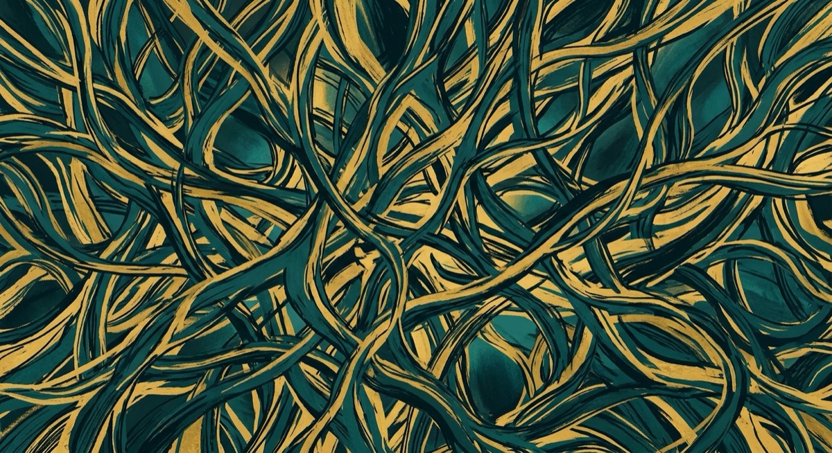 Epigenetic Skincare: How GHK-Cu and Spermidine Reprogram Gene Expression