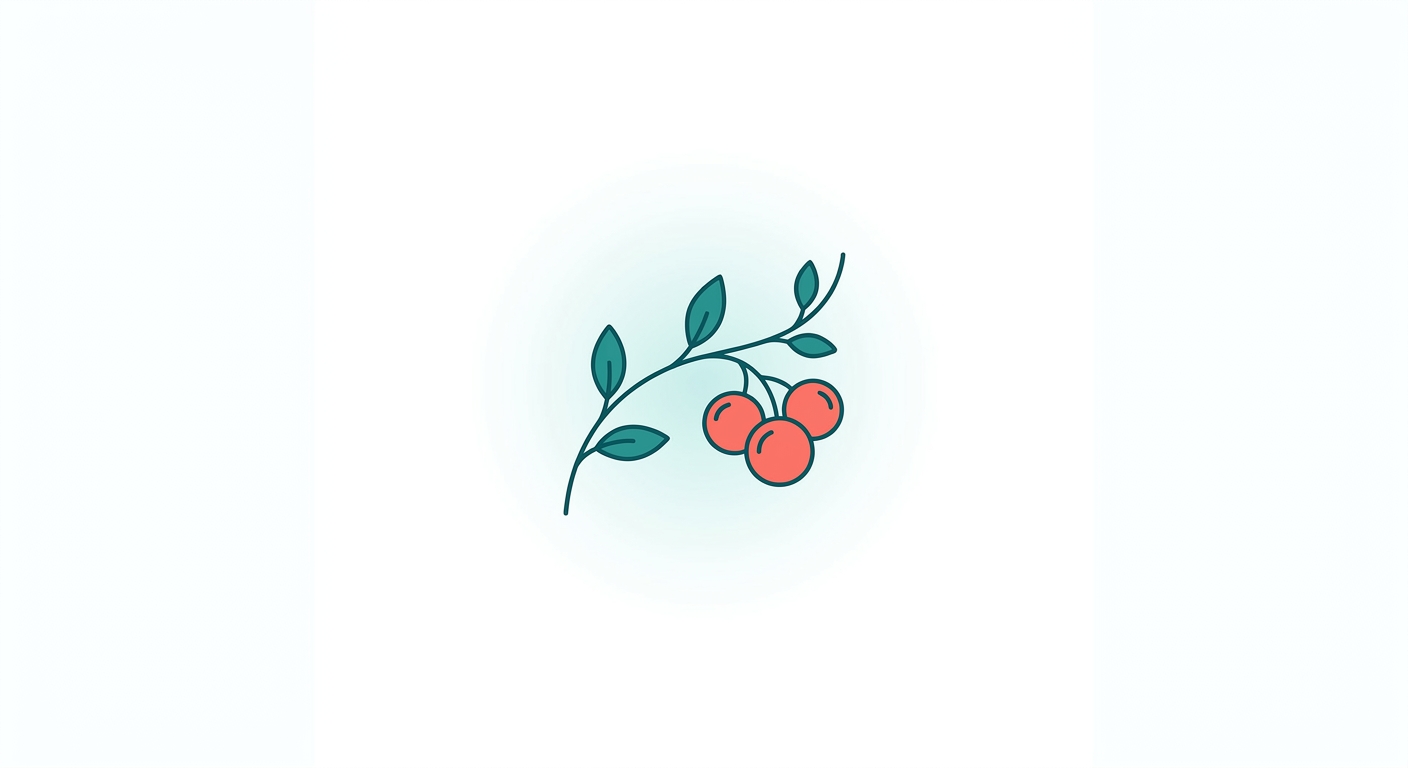오미자 (Schisandra chinensis, 五味子)