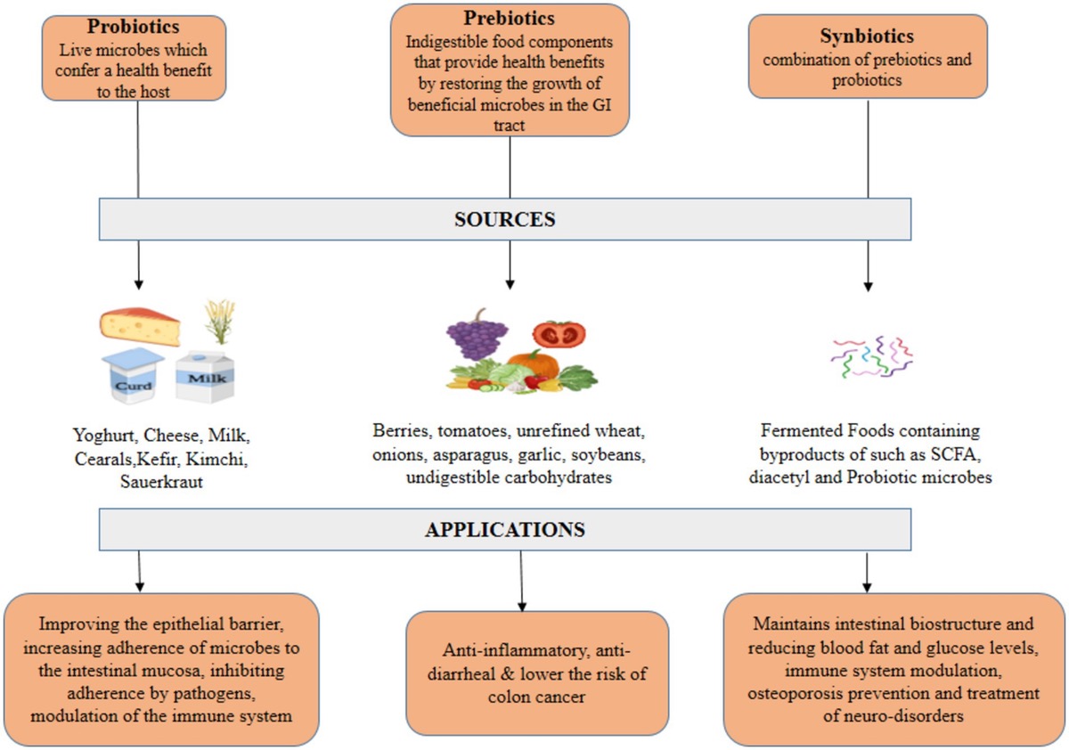 Probiotics, Why You Need to Check the Strain Name