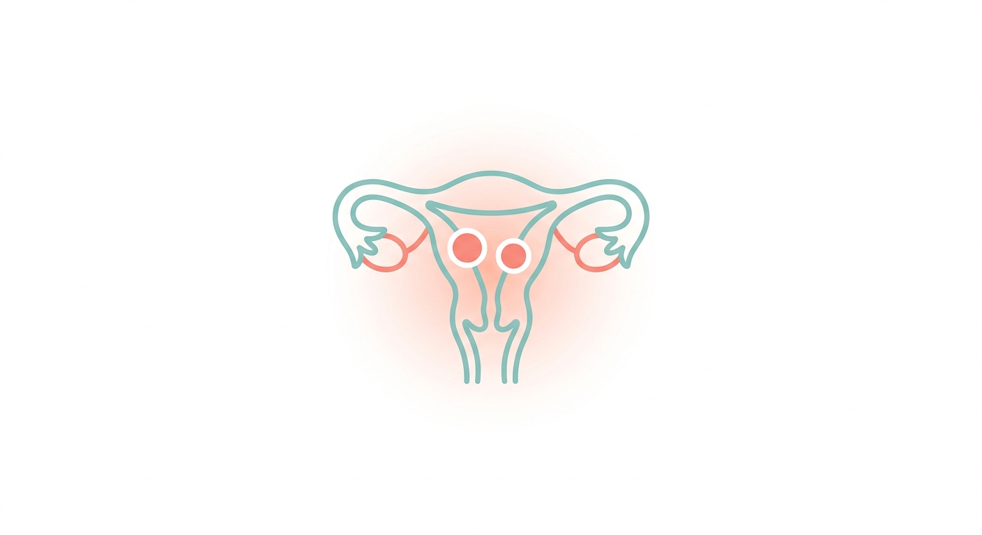 자궁근종 (평활근종, leiomyoma) — 한국 35-50세 여성 35-40% 유병의 양성 종양