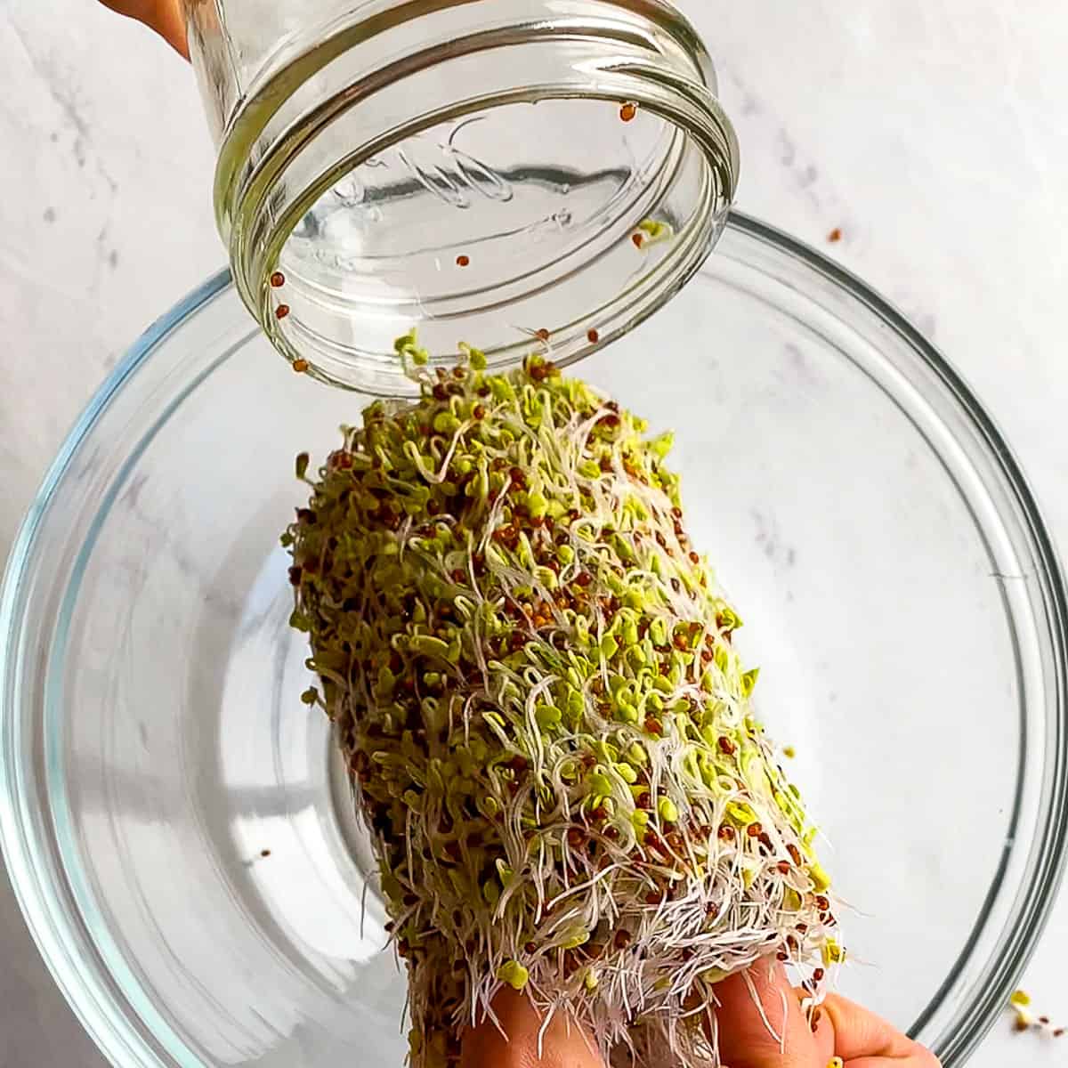Broccoli Sprouts Have 50x More Sulforaphane. Here's Why It Matters for Skin