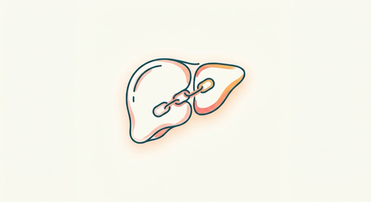 글루쿠로니데이션(Glucuronidation)