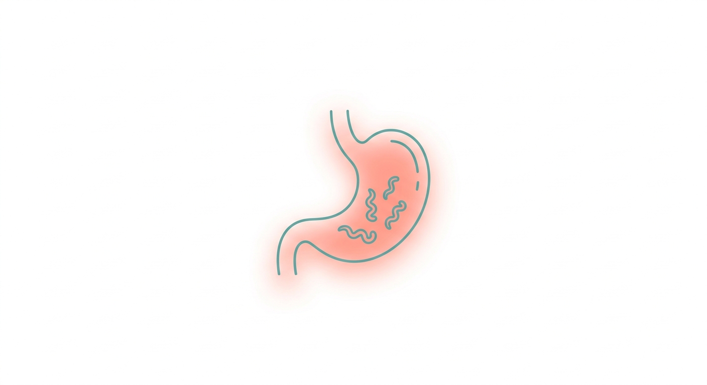 헬리코박터 파일로리 (H. pylori) — 한국 50-55% 양성, 위암 1위와 직결되는 그람 음성균
