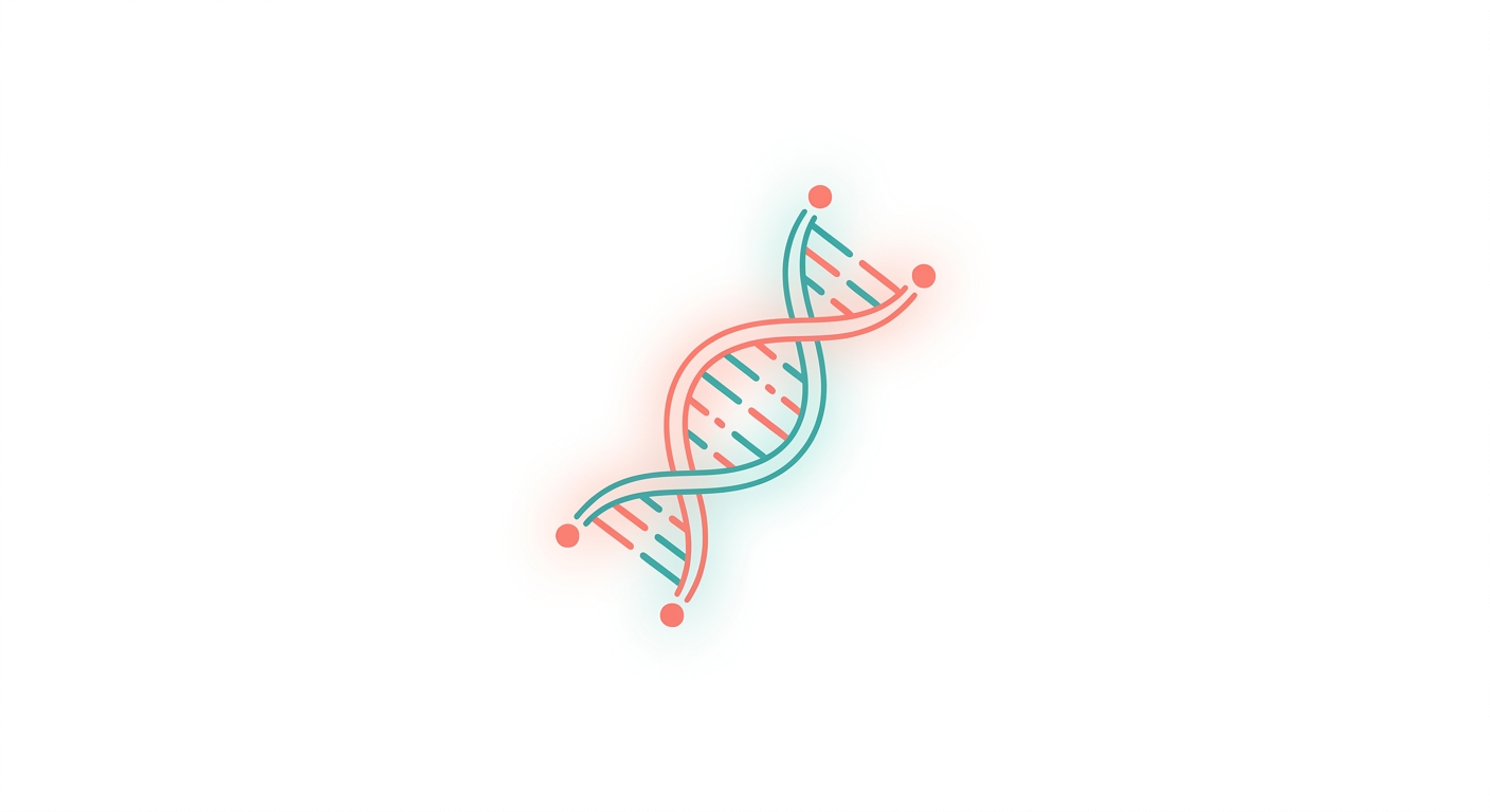 텔로미어란? 염색체 끝 보호 캡과 노화·스트레스의 관계