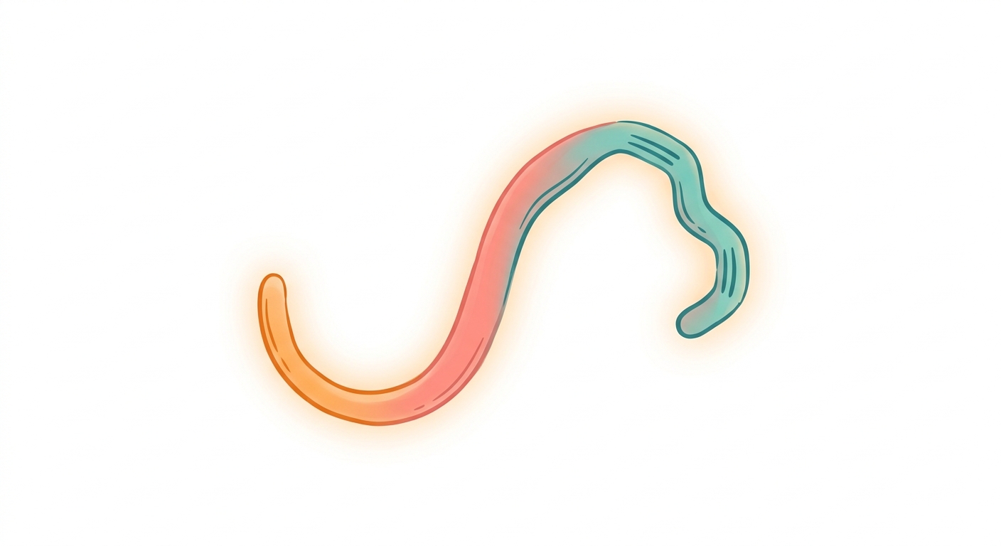 Omega-3: Why DHA and EPA Deserve Separate Attention