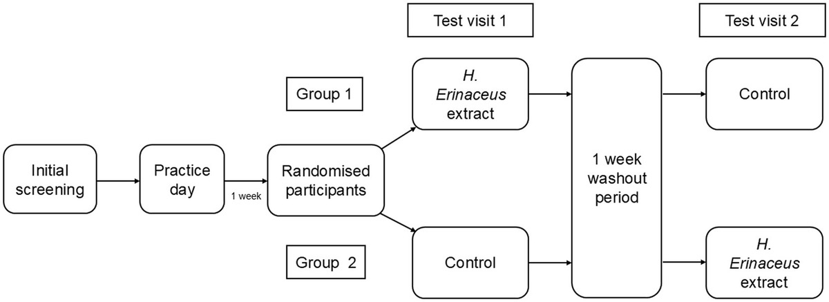 Lion's Mane: Single Dose Shortened Stroop Task Reaction Time at 60 Minutes