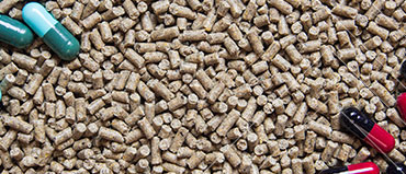 Postbiotics, the Next Generation of Gut Health Is Here