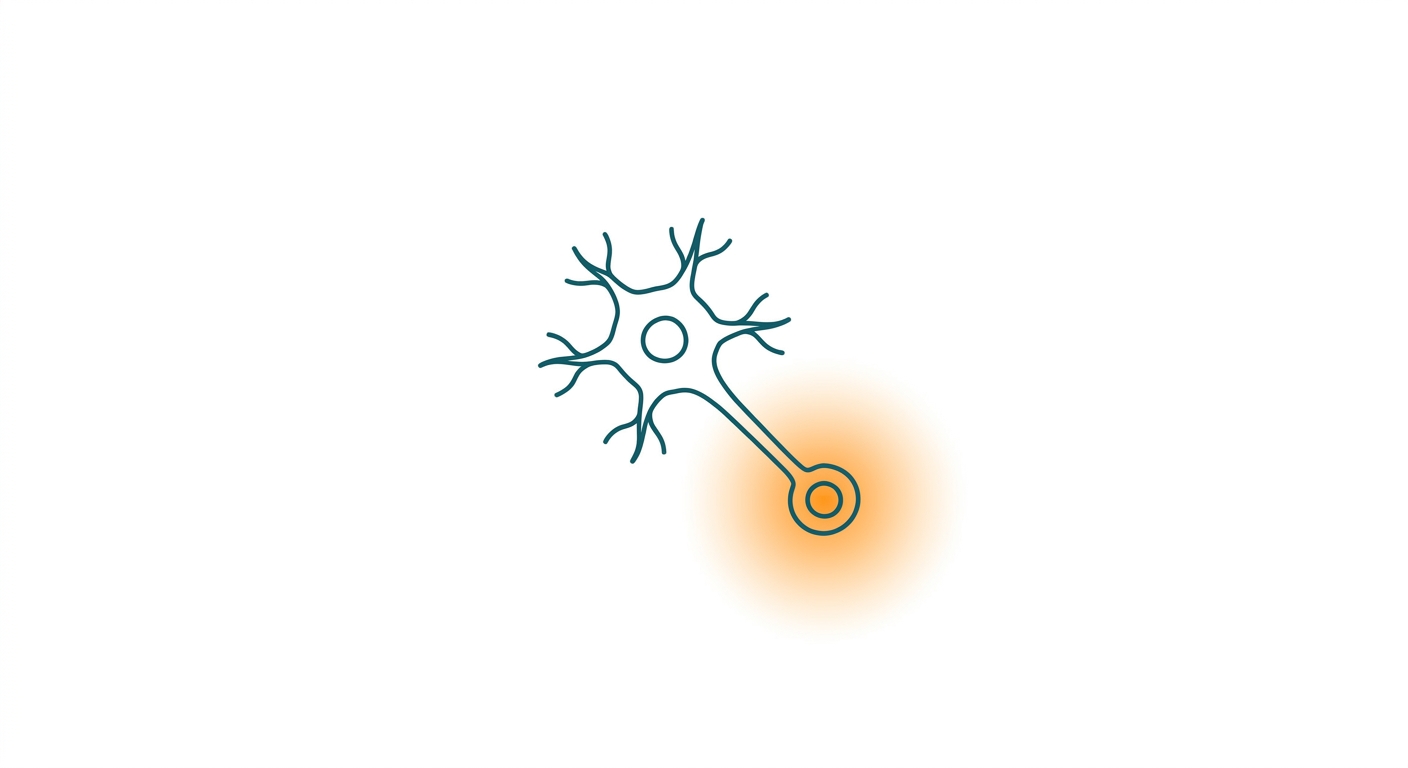 NK 수용체(Neurokinin Receptor): 갱년기 안면홍조의 새 표적