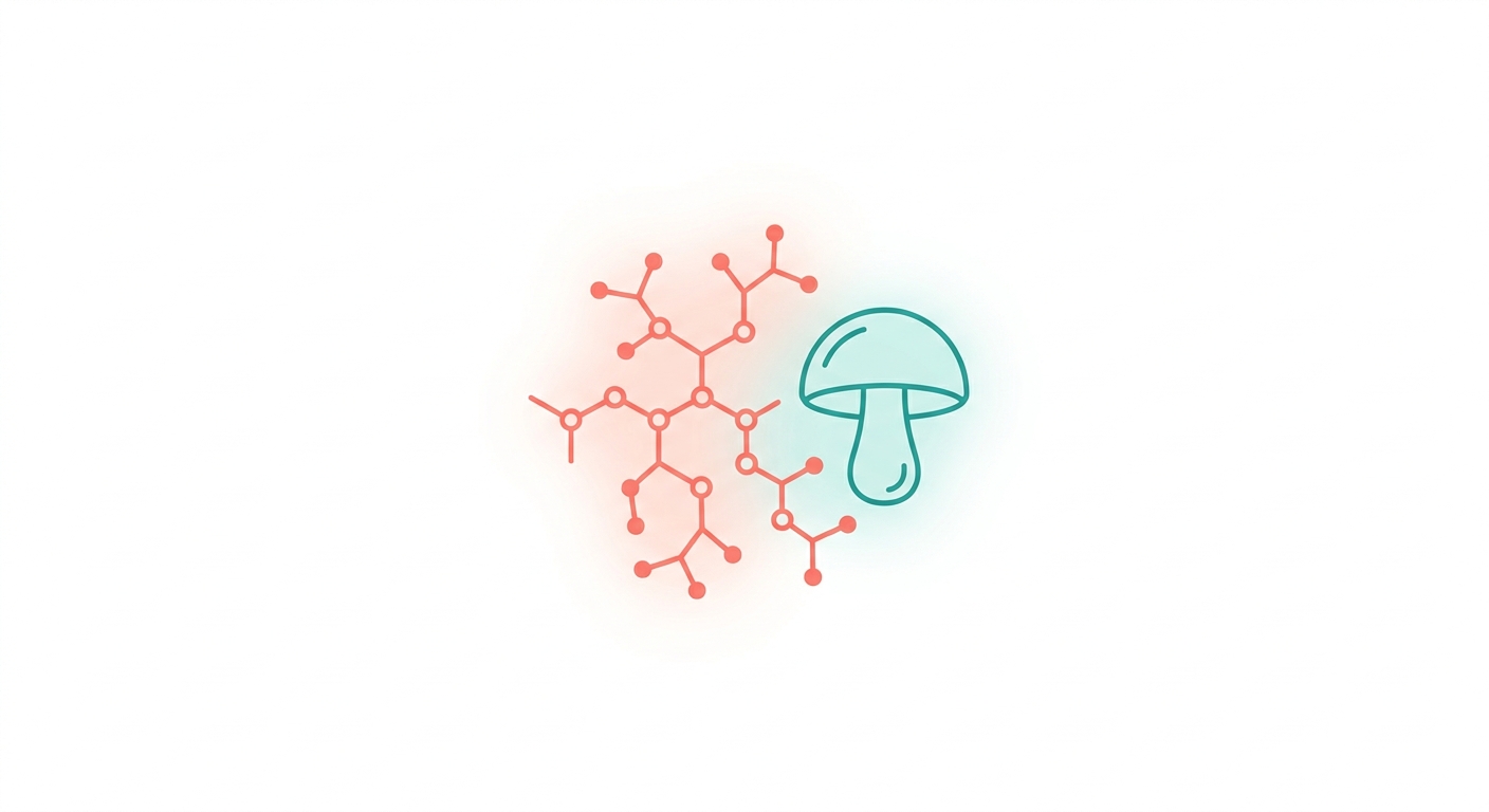 베타글루칸 (Beta-Glucan)이란? 2026 피부 장벽 수복의 핵심 다당류