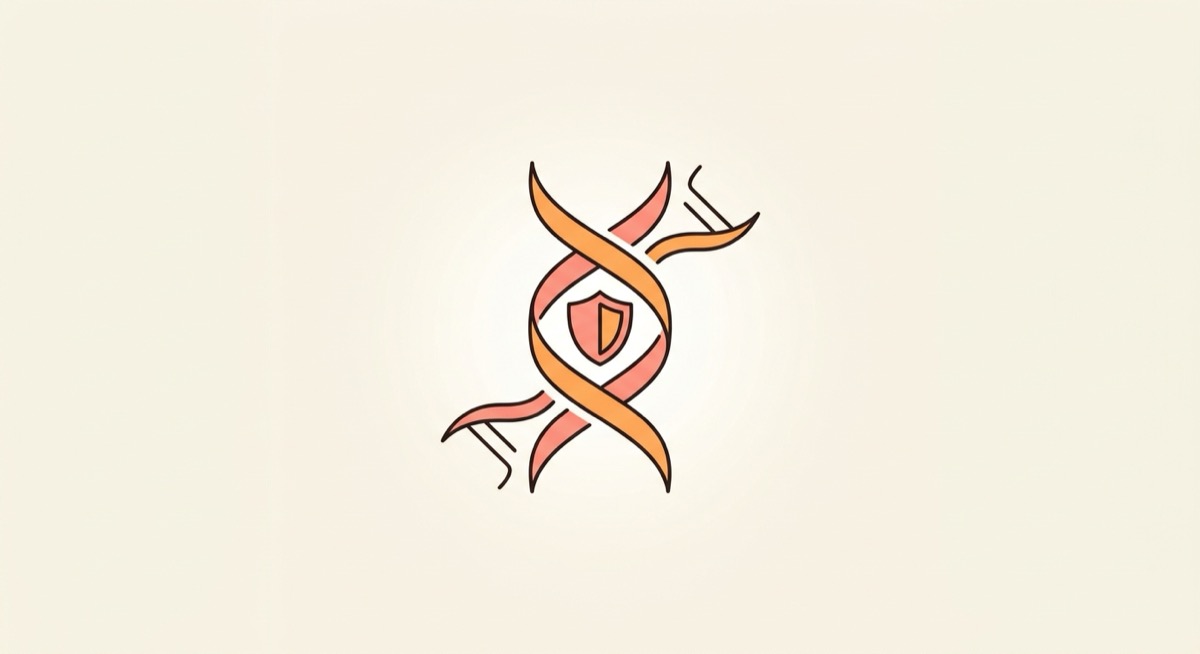 미변성 Type II 콜라겐(UC-II)